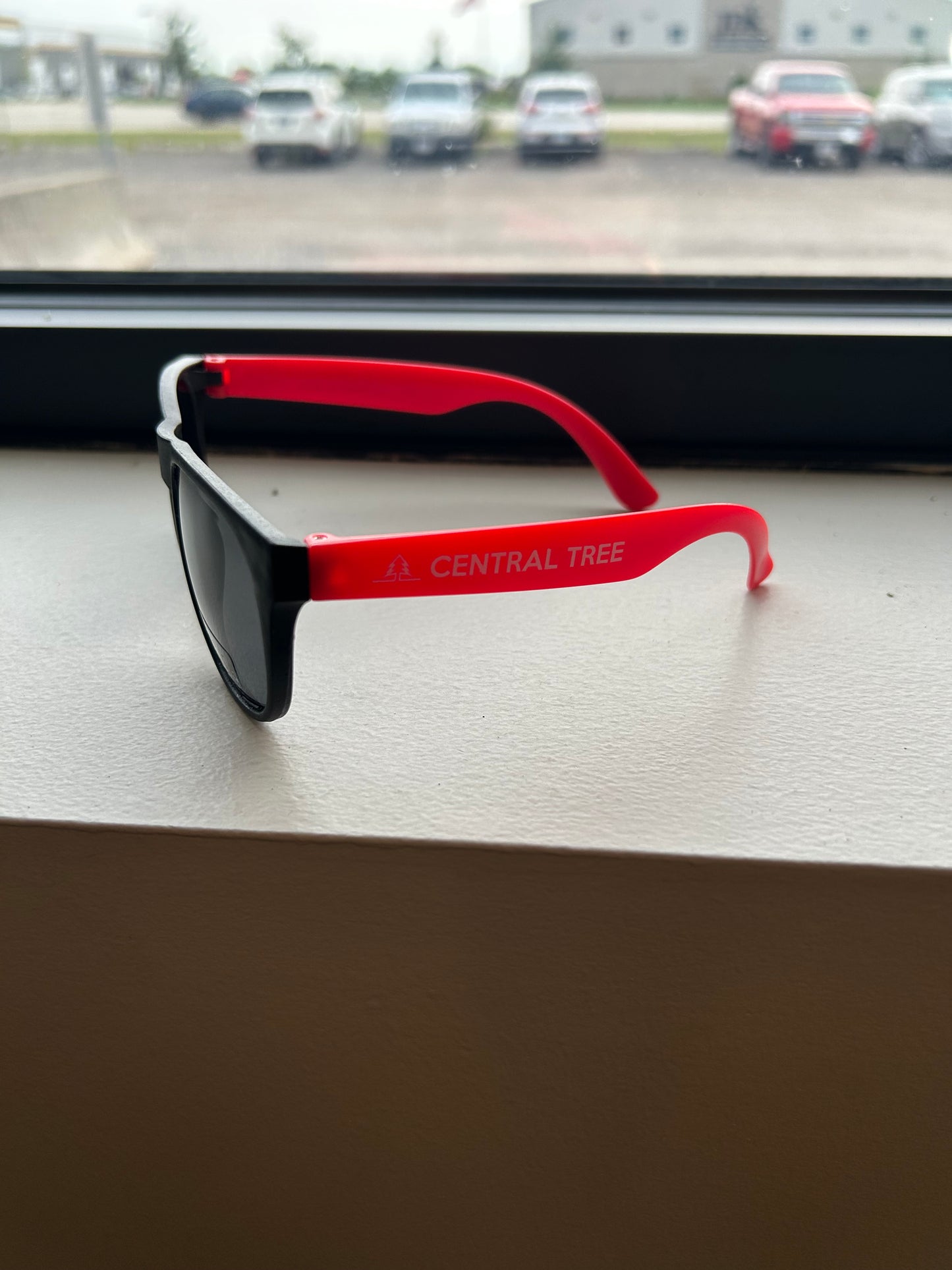 Central Tree Sunglasses