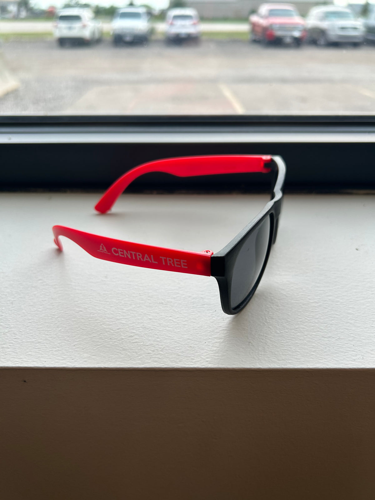 Central Tree Sunglasses