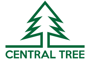 Central Tree